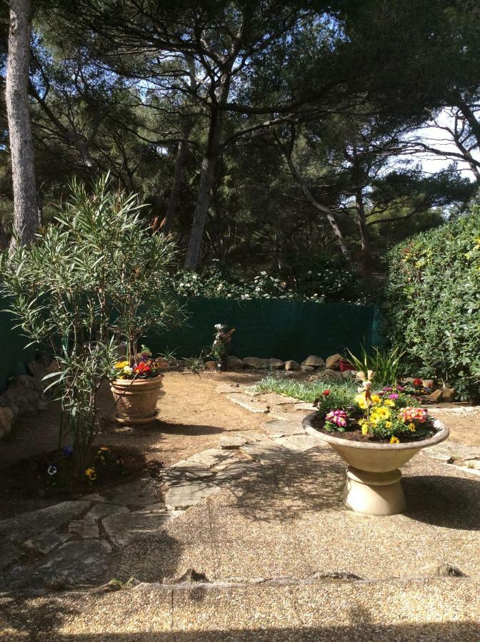 T2 Rez De Jardin 300M Plage De Beaucours Sanary Sur Mer Luaran gambar