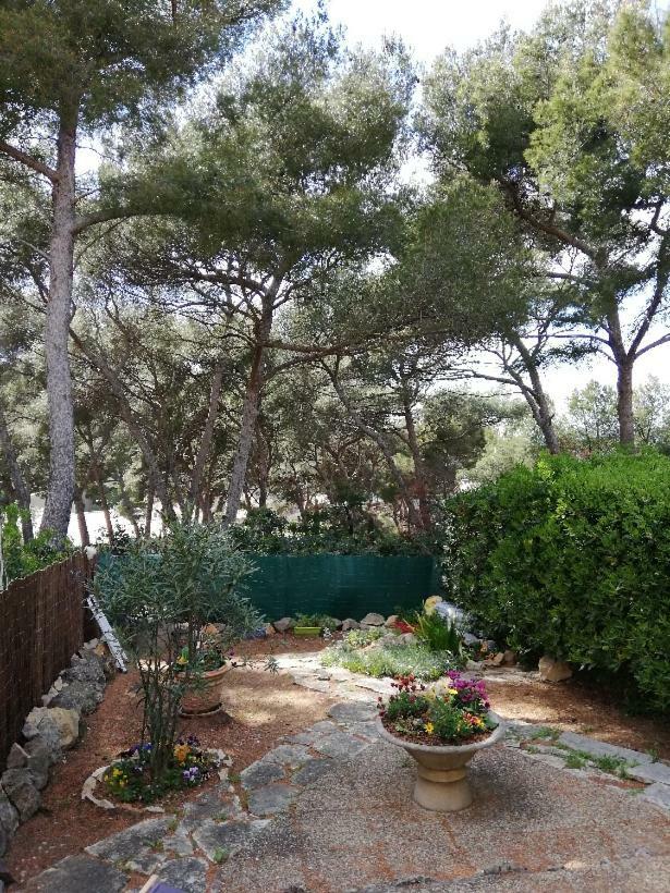 T2 Rez De Jardin 300M Plage De Beaucours Sanary Sur Mer Luaran gambar